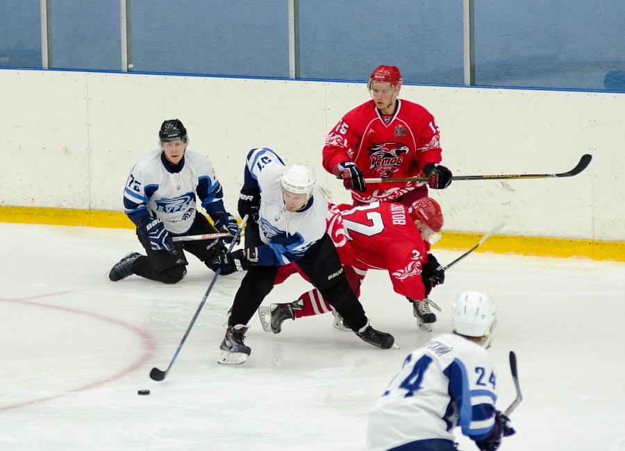 dsc_8569.jpg