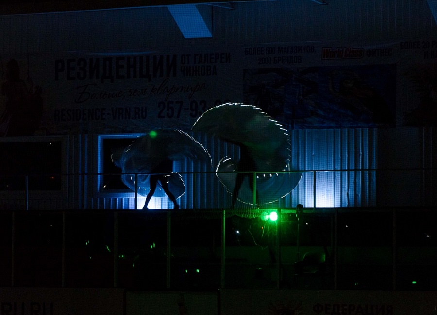 dsc_0213.jpg