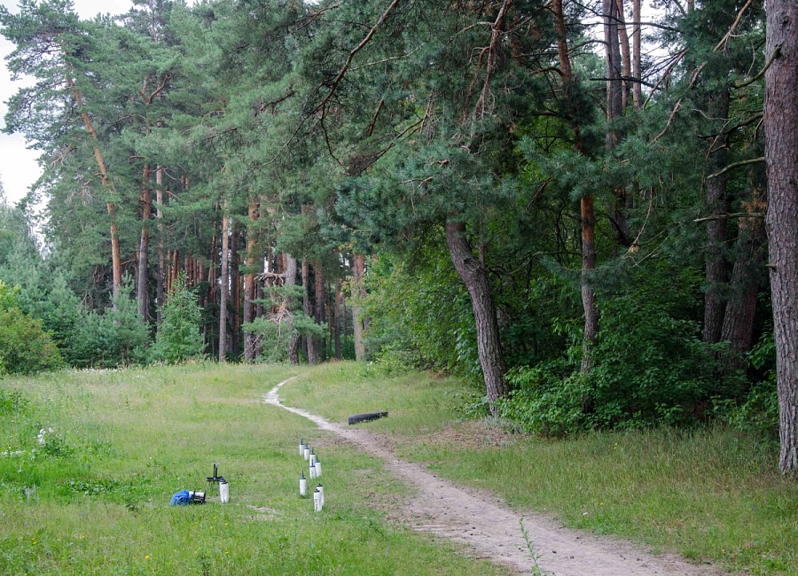 dsc_6157.jpg