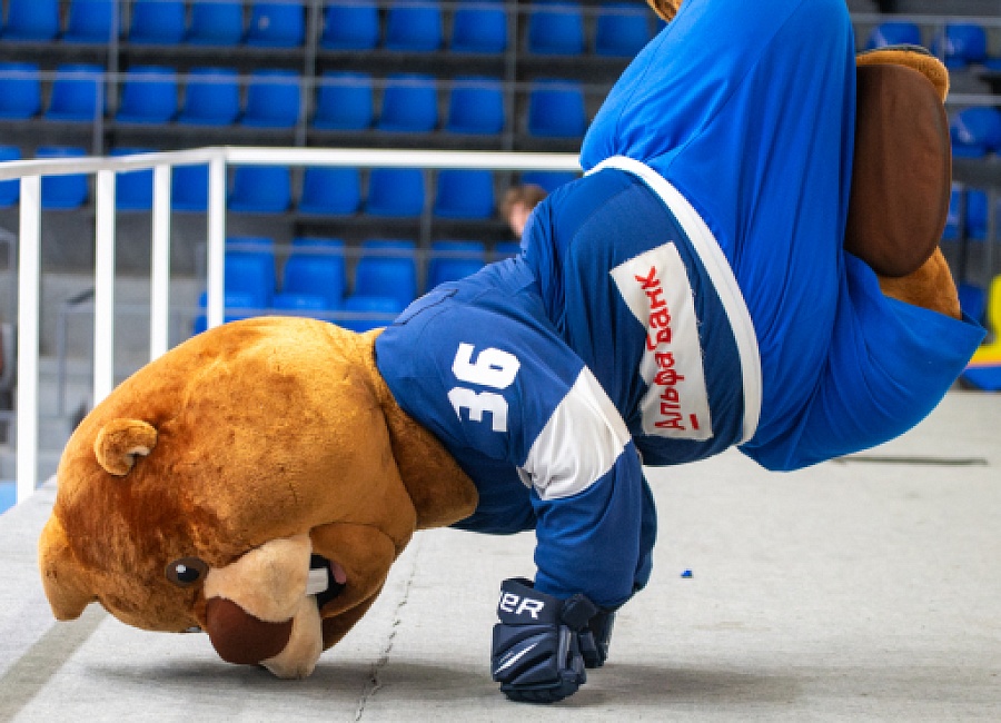 97.jpg