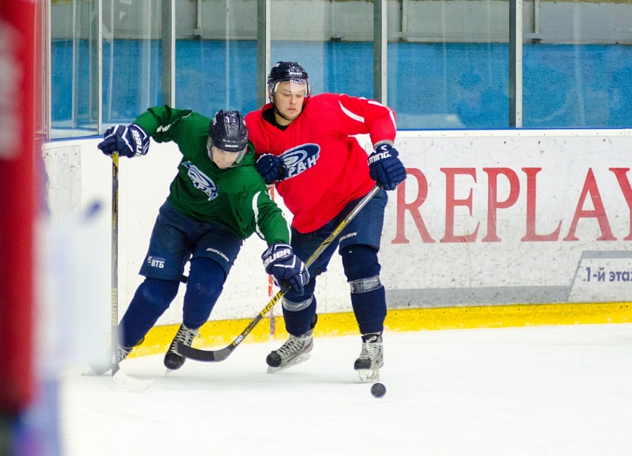 dsc_2144.jpg